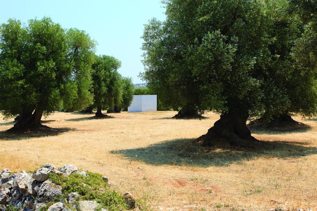 Bed Biancaneve Centro Storico Ostuni Δωμάτιο φωτογραφία